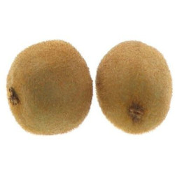 KIWI VERT RAVIER 10X1KG